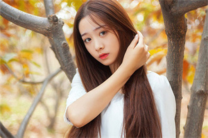 上海城市治理中的腐败问题分析 上海城市治理中的腐败问题分析